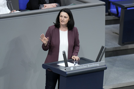 163. Sitzung des Deutschen Bundestages in Berlin