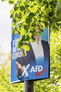 Wahlplakate zur Europawahl in Berlin