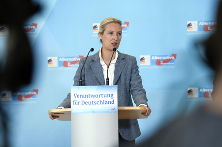 Fraktionssitzung der AfD-Bundestagsfraktion in Berlin