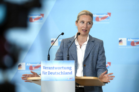 Fraktionssitzung der AfD-Bundestagsfraktion in Berlin