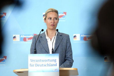 Fraktionssitzung der AfD-Bundestagsfraktion in Berlin