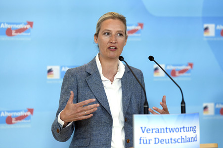 Fraktionssitzung der AfD-Bundestagsfraktion in Berlin