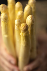 Symbolfoto Spargelzubereitung