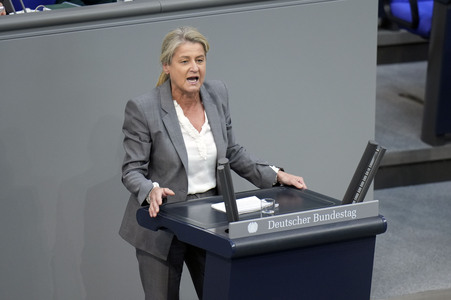 166. Sitzung des Deutschen Bundestages in Berlin