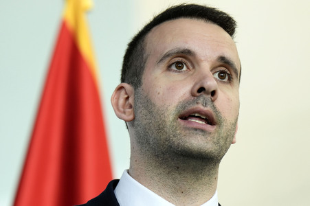 Empfang des Ministerpräsidenten von Montenegro in Berlin