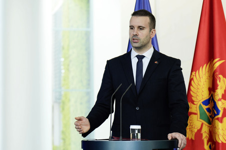 Empfang des Ministerpräsidenten von Montenegro in Berlin