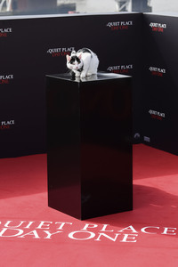 Photocall 'A Quiet Place: Tag Eins' in London