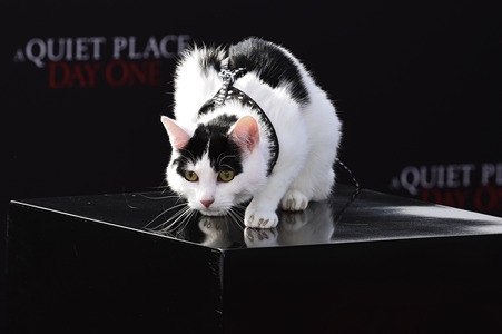 Photocall 'A Quiet Place: Tag Eins' in London