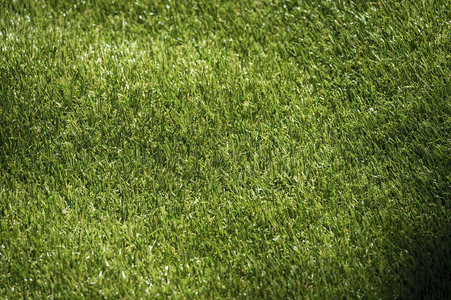 Aufbau der Fan-Zone zur Fußball-Europameisterschaft UEFA EURO 2024 in Berlin