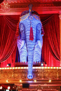 Tanzshow 'Let's Dance' in Köln