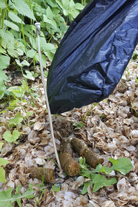 Symbolfoto Hundekotentsorgung