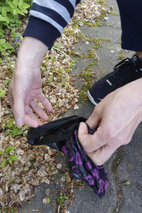 Symbolfoto Hundekotentsorgung