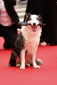 Festivaleröffnung mit Filmpremiere 'Le deuxième acte', Cannes Film Festival 2024