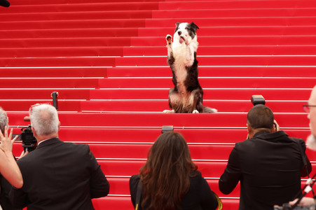 Festivaleröffnung mit Filmpremiere 'Le deuxième acte', Cannes Film Festival 2024