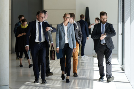 Fraktionssitzung der AfD-Bundestagsfraktion in Berlin