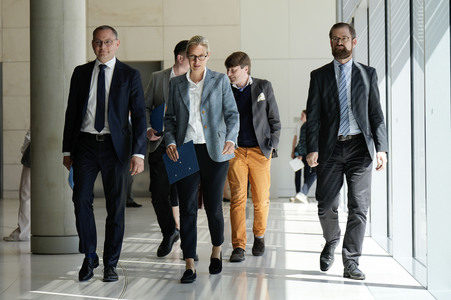 Fraktionssitzung der AfD-Bundestagsfraktion in Berlin