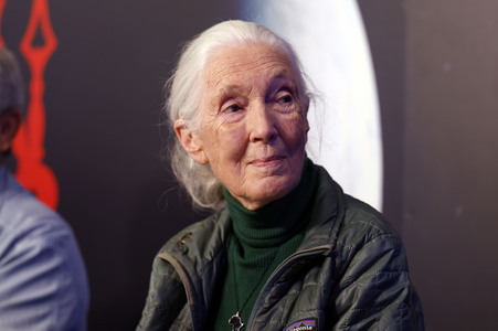 Pressekonferenz zur Eröffnung vom Starmus VII Festival in Bratislava