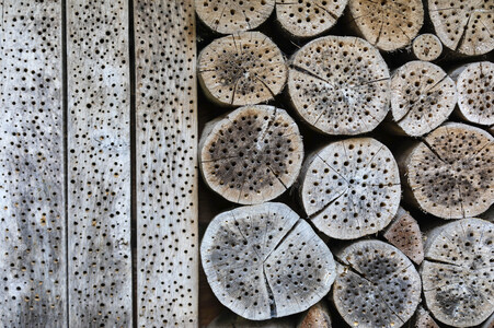 Symbolfoto Insektenhotel