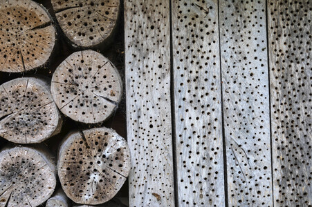 Symbolfoto Insektenhotel