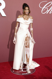 amfAR's Cinema Against Aids Gala, Cannes Film Festival 2024