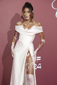 amfAR's Cinema Against Aids Gala, Cannes Film Festival 2024