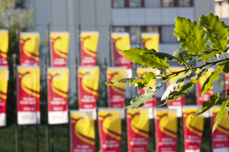 Platz des Grundgesetzes in Bonn