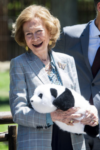 Pandabär-Präsentation in Madrid