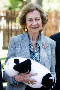 Pandabär-Präsentation in Madrid