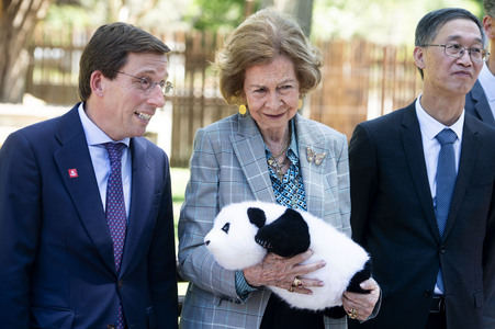 Pandabär-Präsentation in Madrid