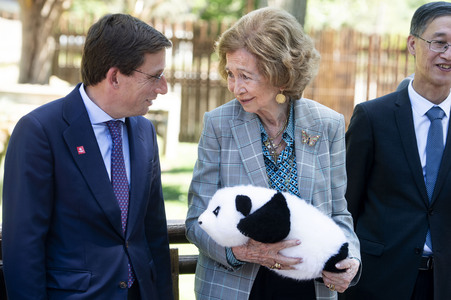 Pandabär-Präsentation in Madrid