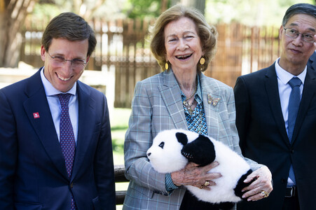 Pandabär-Präsentation in Madrid