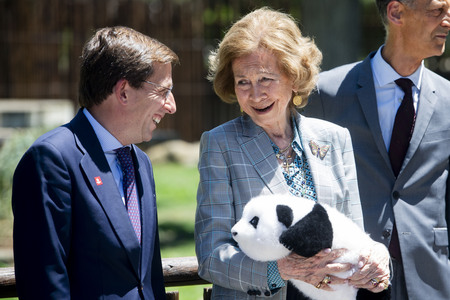 Pandabär-Präsentation in Madrid