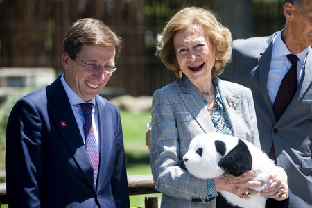 Pandabär-Präsentation in Madrid