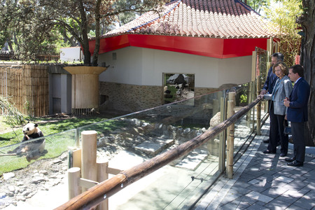 Pandabär-Präsentation in Madrid