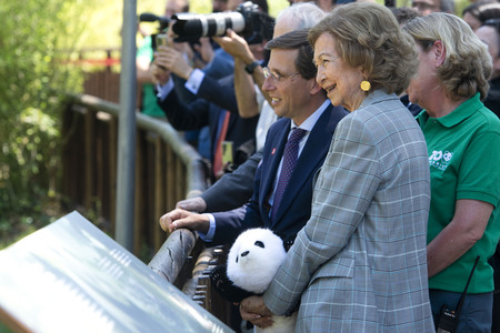 Pandabär-Präsentation in Madrid