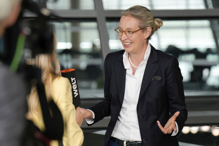 Fraktionssitzung der AfD-Bundestagsfraktion in Berlin