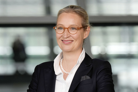 Fraktionssitzung der AfD-Bundestagsfraktion in Berlin