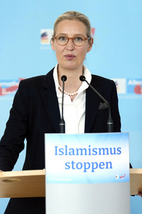 Fraktionssitzung der AfD-Bundestagsfraktion in Berlin