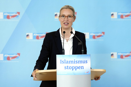 Fraktionssitzung der AfD-Bundestagsfraktion in Berlin