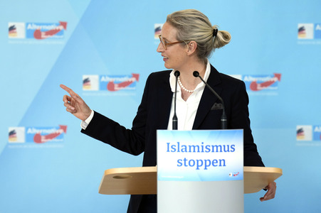 Fraktionssitzung der AfD-Bundestagsfraktion in Berlin