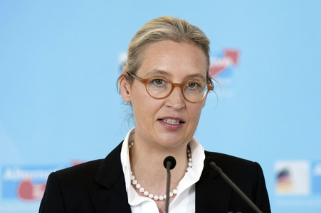 Fraktionssitzung der AfD-Bundestagsfraktion in Berlin