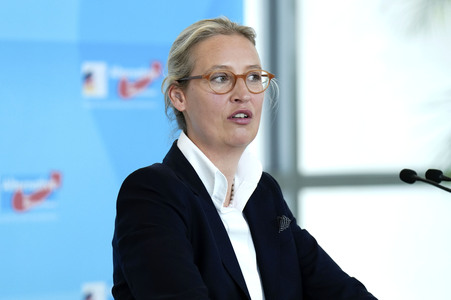 Fraktionssitzung der AfD-Bundestagsfraktion in Berlin