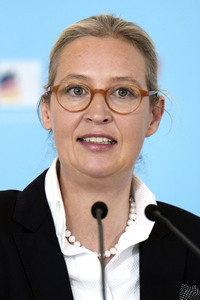 Fraktionssitzung der AfD-Bundestagsfraktion in Berlin