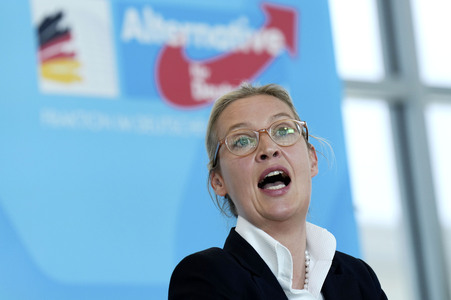 Fraktionssitzung der AfD-Bundestagsfraktion in Berlin