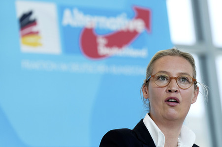 Fraktionssitzung der AfD-Bundestagsfraktion in Berlin