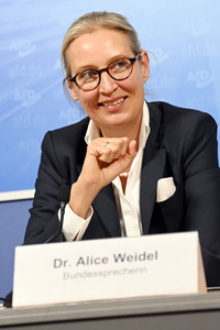 Pressekonferenz der AfD zur Europawahl in Berlin