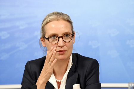 Pressekonferenz der AfD zur Europawahl in Berlin