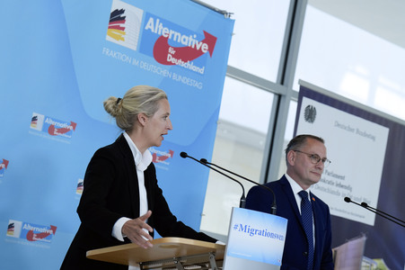 Fraktionssitzung der AfD-Bundestagsfraktion in Berlin