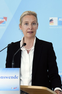 Fraktionssitzung der AfD-Bundestagsfraktion in Berlin