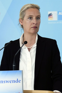 Fraktionssitzung der AfD-Bundestagsfraktion in Berlin